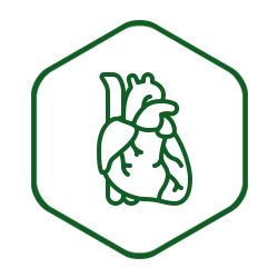 Cardiovascular Formula Cardiovascular Formula