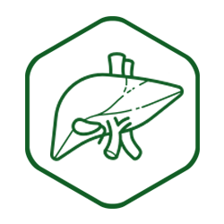 Liver, Gallbladder & Spleen Formula Liver, Gallbladder & Spleen Formula